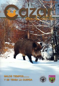 revista gratuita de la federación