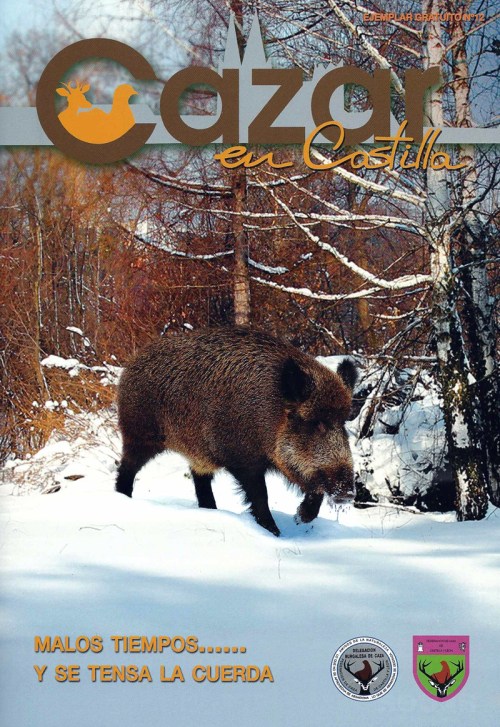 revista gratuita de la federación