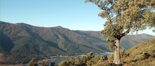 Batidas de jabalí en Ordunte, en el coto de caza del Valle de Mena