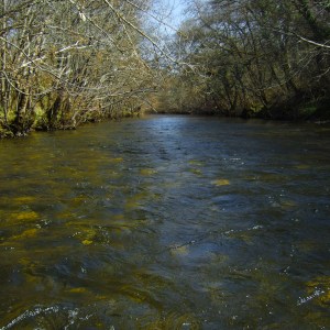 Tramo ideal para pescar a ninfa en el Nela