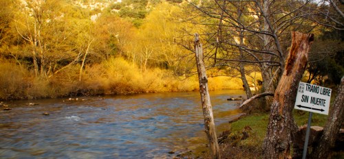 Tramo sin muerte en el río Ebro (Burgos)