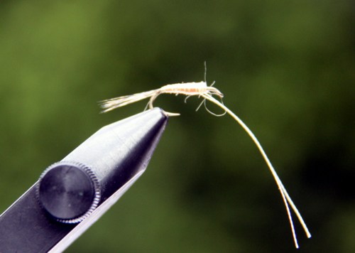 9.- Sujetamos el anzuelo en el torno por la curvatura. En la imagen se aprecia cómo el remate del cuerpo queda con un ángulo de 90 grados respecto a la tija, de manera que al montar la pluma quedará con la angulación perfecta