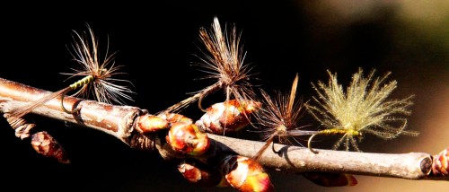 Moscas secas para la pesca de truchas