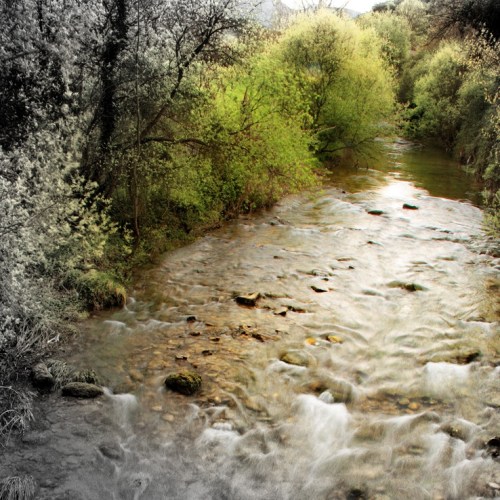 Coto de pesca Valle de Mena