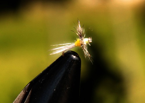 Díptero para la pesca de truchas