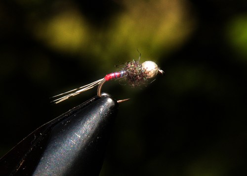 Ninfa para la pesca de truchas