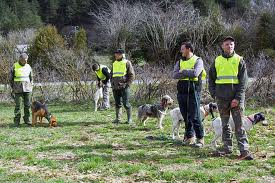 Concurso perros de rastro