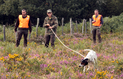 Campeonato de perros de Rastro del Valle de Mena