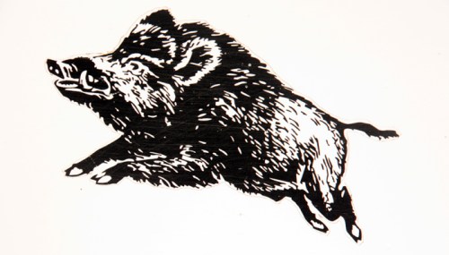 Coto caza valle de mena