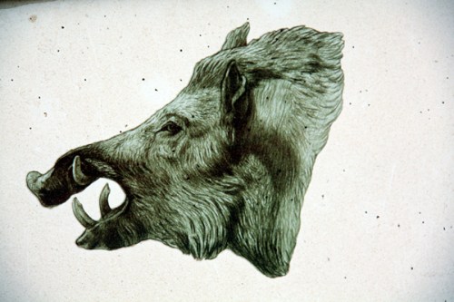 Coto de Caza y Pesca del Valle de Mena